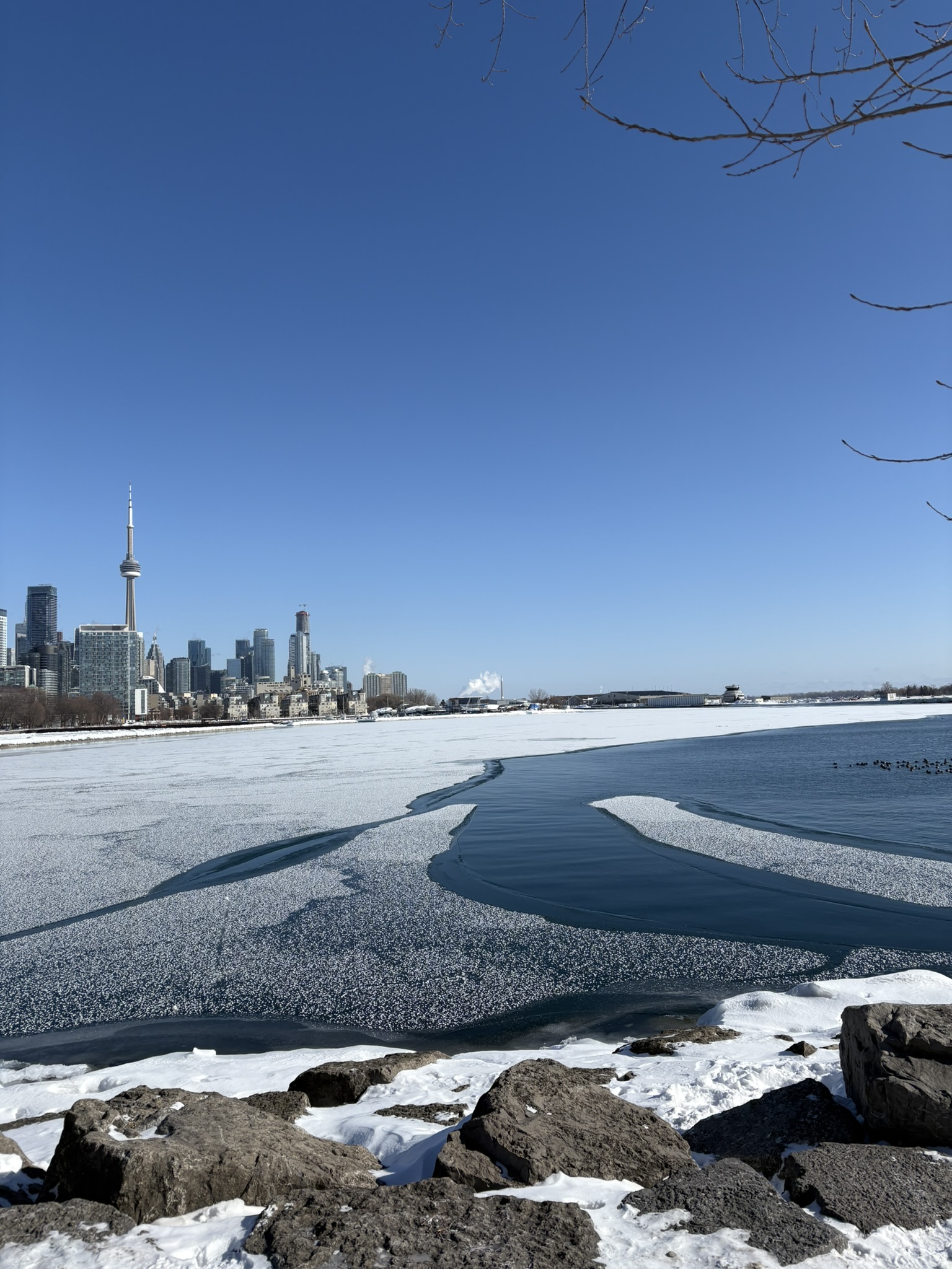 toronto winter